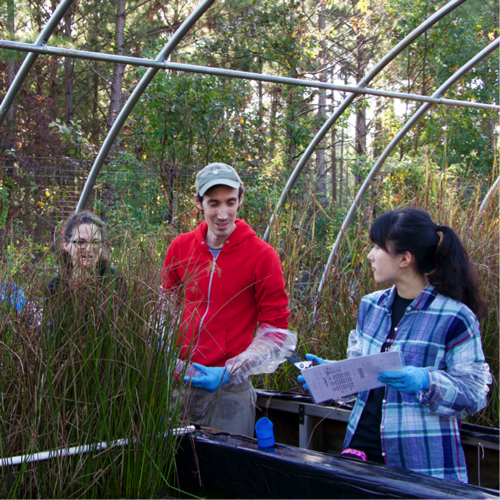 Researchers taking final measurements 